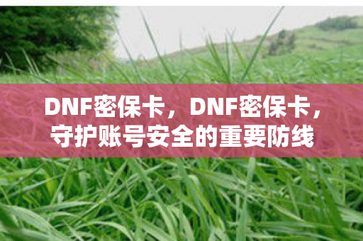 DNF密保卡,DNF密保卡,守护账号安全的重要防线 DNF密保卡,DNF密保卡,守护账号安全的重要防线