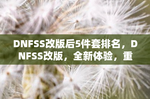 DNFSS改版后5件套排名,DNFSS改版,全新体验,重塑经典 DNFSS改版后5件套排名,DNFSS改版,全新体验,重塑经典