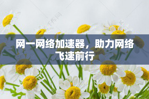 网一网络加速器,助力网络飞速前行 网一网络加速器,助力网络飞速前行