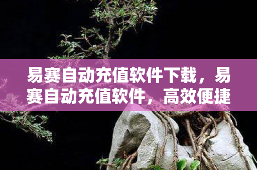 易赛自动充值软件下载，易赛自动充值软件，高效便捷的充值解决方案