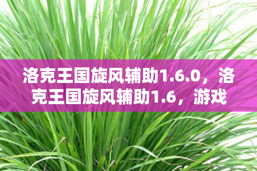 洛克王国旋风辅助1.6.0，洛克王国旋风辅助1.6，游戏辅助工具的革新与体验
