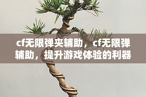 cf无限弹夹辅助,cf无限弹辅助,提升游戏体验的利器 cf无限弹夹辅助,cf无限弹辅助,提升游戏体验的利器