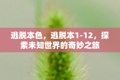 逃脱本色,逃脱本1-12,探索未知世界的奇妙之旅 逃脱本色,逃脱本1-12,探索未知世界的奇妙之旅