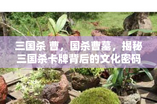 三国杀 曹,国杀曹墓,揭秘三国杀卡牌背后的文化密码 三国杀 曹,国杀曹墓,揭秘三国杀卡牌背后的文化密码