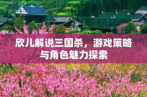 欣儿解说三国杀,游戏策略与角色魅力探索 欣儿解说三国杀,游戏策略与角色魅力探索