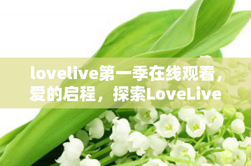 lovelive第一季在线观看,爱的启程,探索LoveLive!第一季的梦幻之旅 lovelive第一季在线观看,爱的启程,探索LoveLive!第一季的梦幻之旅