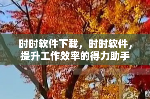 时时软件下载,时时软件,提升工作效率的得力助手 时时软件下载,时时软件,提升工作效率的得力助手