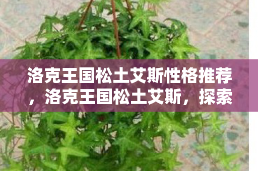 洛克王国松土艾斯性格推荐,洛克王国松土艾斯,探索王国中的土地耕耘者 洛克王国松土艾斯性格推荐,洛克王国松土艾斯,探索王国中的土地耕耘者