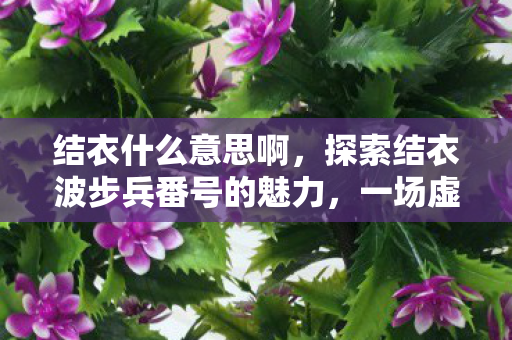 结衣什么意思啊,探索结衣波步兵番号的魅力,一场虚拟世界的奇幻之旅 结衣什么意思啊,探索结衣波步兵番号的魅力,一场虚拟世界的奇幻之旅