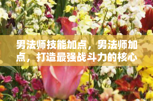 男法师技能加点,男法师加点,打造最强战斗力的核心策略 男法师技能加点,男法师加点,打造最强战斗力的核心策略