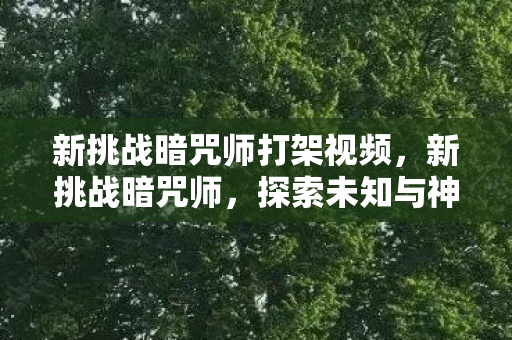 新挑战暗咒师打架视频,新挑战暗咒师,探索未知与神秘的冒险之旅 新挑战暗咒师打架视频,新挑战暗咒师,探索未知与神秘的冒险之旅
