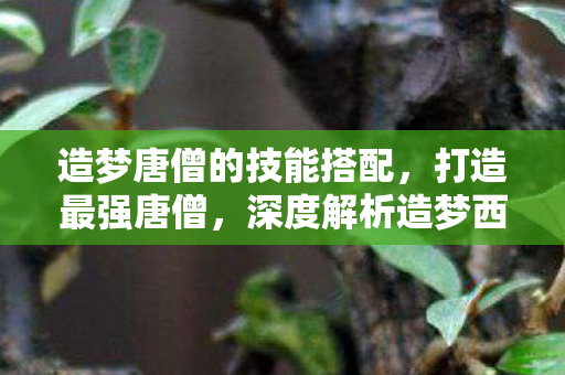 造梦唐僧的技能搭配,打造最强唐僧,深度解析造梦西游唐僧配招策略 造梦唐僧的技能搭配,打造最强唐僧,深度解析造梦西游唐僧配招策略