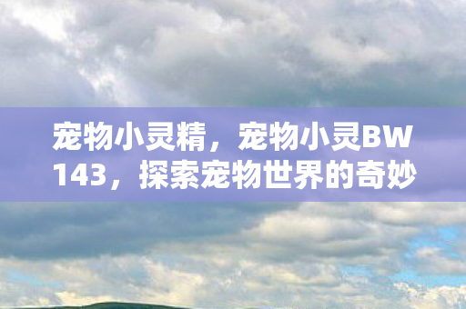 宠物小灵精,宠物小灵BW143,探索宠物世界的奇妙之旅 宠物小灵精,宠物小灵BW143,探索宠物世界的奇妙之旅