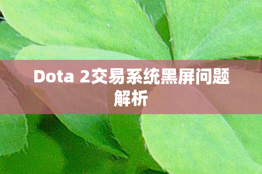 Dota 2交易系统黑屏问题解析 Dota 2交易系统黑屏问题解析