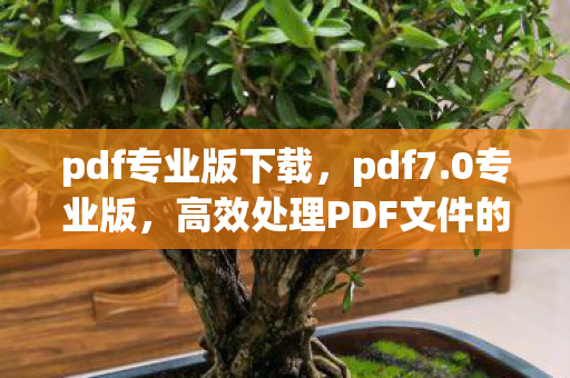 pdf专业版下载,pdf7.0专业版,高效处理PDF文件的得力助手 pdf专业版下载,pdf7.0专业版,高效处理PDF文件的得力助手