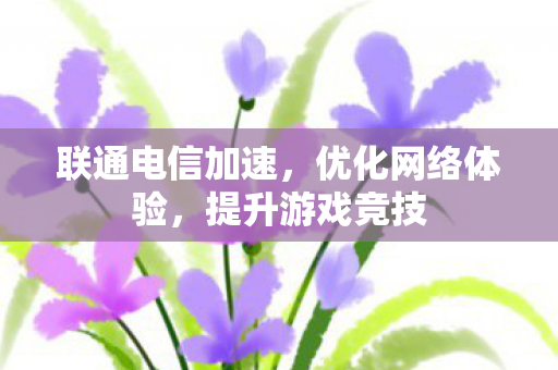 联通电信加速,优化网络体验,提升游戏竞技 联通电信加速,优化网络体验,提升游戏竞技