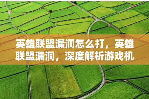 英雄联盟漏洞怎么打,英雄联盟漏洞,深度解析游戏机制中的安全隐忧 英雄联盟漏洞怎么打,英雄联盟漏洞,深度解析游戏机制中的安全隐忧