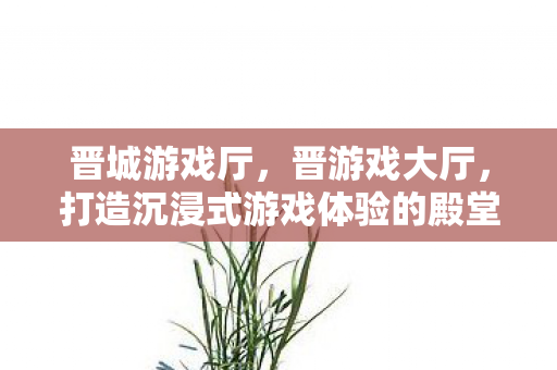 晋城游戏厅,晋游戏大厅,打造沉浸式游戏体验的殿堂 晋城游戏厅,晋游戏大厅,打造沉浸式游戏体验的殿堂