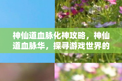 神仙道血脉化神攻略,神仙道血脉华,探寻游戏世界的血脉传承与华彩篇章 神仙道血脉化神攻略,神仙道血脉华,探寻游戏世界的血脉传承与华彩篇章