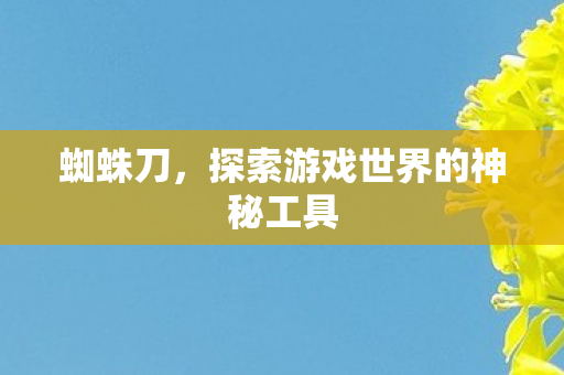 蜘蛛刀,探索游戏世界的神秘工具 蜘蛛刀,探索游戏世界的神秘工具