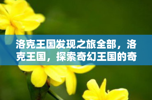 洛克王国发现之旅全部,洛克王国,探索奇幻王国的奇妙之旅 洛克王国发现之旅全部,洛克王国,探索奇幻王国的奇妙之旅