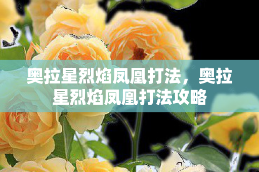 奥拉星烈焰凤凰打法,奥拉星烈焰凤凰打法攻略 奥拉星烈焰凤凰打法,奥拉星烈焰凤凰打法攻略