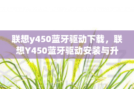 联想y450蓝牙驱动下载,联想Y450蓝牙驱动安装与升级指南 联想y450蓝牙驱动下载,联想Y450蓝牙驱动安装与升级指南