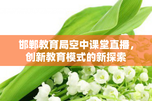 邯郸教育局空中课堂直播,创新教育模式的新探索 邯郸教育局空中课堂直播,创新教育模式的新探索