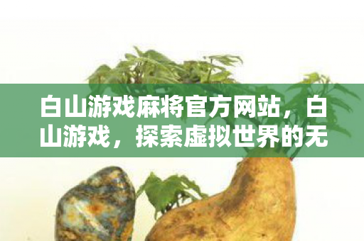 白山游戏麻将官方网站，白山游戏，探索虚拟世界的无限可能