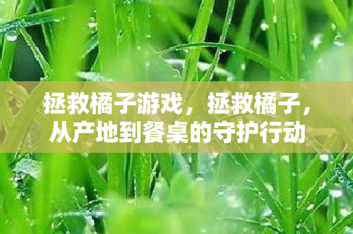 拯救橘子游戏,拯救橘子,从产地到餐桌的守护行动 拯救橘子游戏,拯救橘子,从产地到餐桌的守护行动