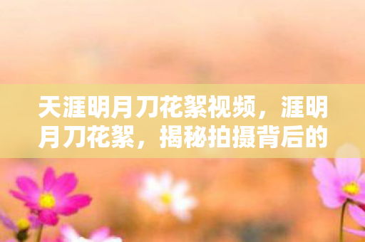 天涯明月刀花絮视频,涯明月刀花絮,揭秘拍摄背后的趣事与匠心 天涯明月刀花絮视频,涯明月刀花絮,揭秘拍摄背后的趣事与匠心