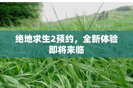 绝地求生2预约,全新体验即将来临 绝地求生2预约,全新体验即将来临