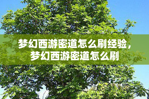 梦幻西游密道怎么刷经验,梦幻西游密道怎么刷 梦幻西游密道怎么刷经验,梦幻西游密道怎么刷