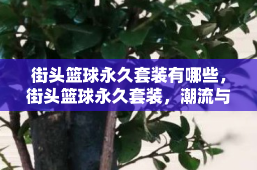 街头篮球永久套装有哪些,街头篮球永久套装,潮流与竞技的完美结合 街头篮球永久套装有哪些,街头篮球永久套装,潮流与竞技的完美结合