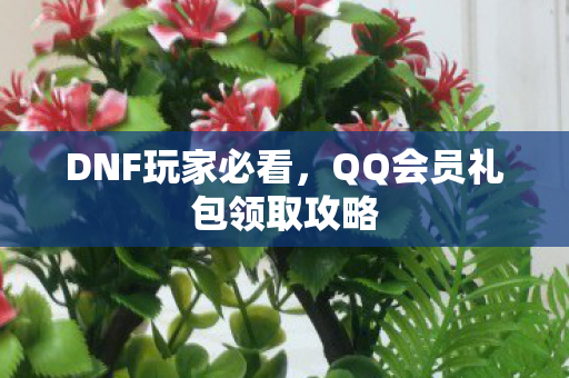 DNF玩家必看,QQ会员礼包领取攻略 DNF玩家必看,QQ会员礼包领取攻略