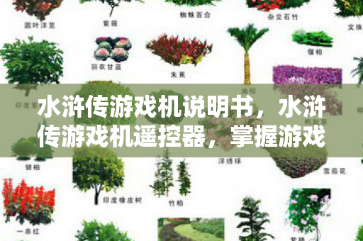 水浒传游戏机说明书,水浒传游戏机遥控器,掌握游戏世界的神秘钥匙 水浒传游戏机说明书,水浒传游戏机遥控器,掌握游戏世界的神秘钥匙