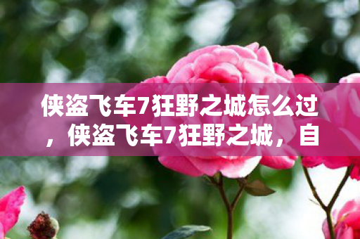 侠盗飞车7狂野之城怎么过，侠盗飞车7狂野之城，自由与冒险的终极体验