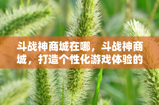 斗战神商城在哪,斗战神商城,打造个性化游戏体验的绝佳平台 斗战神商城在哪,斗战神商城,打造个性化游戏体验的绝佳平台