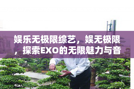 娱乐无极限综艺,娱无极限,探索EXO的无限魅力与音乐之旅 娱乐无极限综艺,娱无极限,探索EXO的无限魅力与音乐之旅