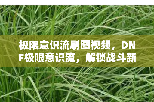 极限意识流刷图视频，DNF极限意识流，解锁战斗新境界