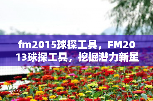 fm2015球探工具，FM2013球探工具，挖掘潜力新星，提升球队实力的秘密武器