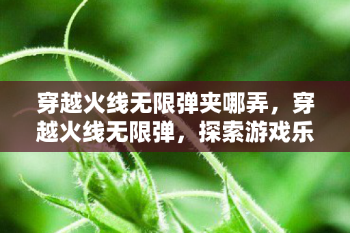 穿越火线无限弹夹哪弄,穿越火线无限弹,探索游戏乐趣的新边界 穿越火线无限弹夹哪弄,穿越火线无限弹,探索游戏乐趣的新边界