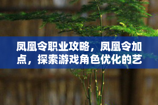 凤凰令职业攻略,凤凰令加点,探索游戏角色优化的艺术 凤凰令职业攻略,凤凰令加点,探索游戏角色优化的艺术