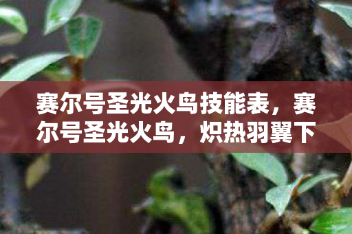 赛尔号圣光火鸟技能表，赛尔号圣光火鸟，炽热羽翼下的传奇冒险