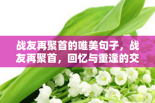 战友再聚首的唯美句子,战友再聚首,回忆与重逢的交响曲 战友再聚首的唯美句子,战友再聚首,回忆与重逢的交响曲