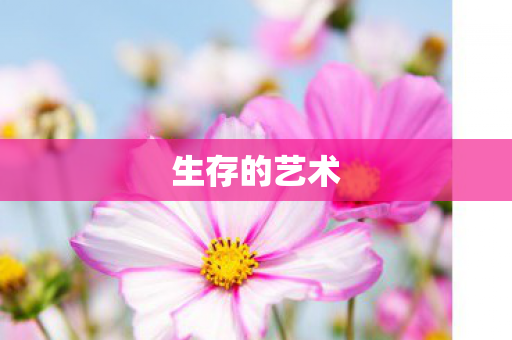 生存的艺术 生存的艺术