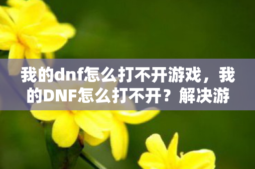 我的dnf怎么打不开游戏,我的DNF怎么打不开?解决游戏启动问题的全面指南 我的dnf怎么打不开游戏,我的DNF怎么打不开?解决游戏启动问题的全面指南