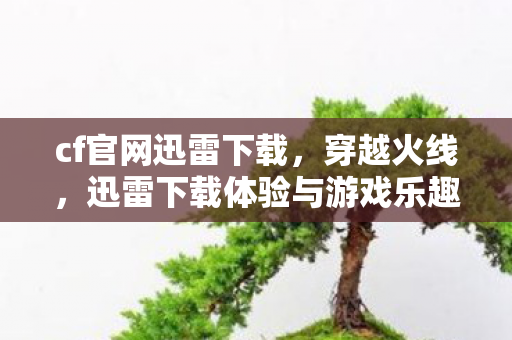 cf官网迅雷下载，穿越火线，迅雷下载体验与游戏乐趣