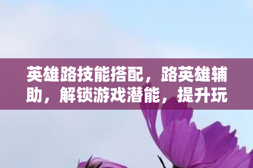 英雄路技能搭配，路英雄辅助，解锁游戏潜能，提升玩家体验