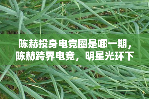 陈赫投身电竞圈是哪一期,陈赫跨界电竞,明星光环下的新挑战 陈赫投身电竞圈是哪一期,陈赫跨界电竞,明星光环下的新挑战